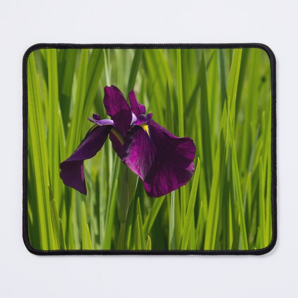 Item preview, Sunny Green and Purple Summer designed and sold by Georgia Mizuleva.