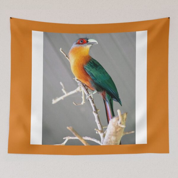 Item preview, chestnut-bellied malkoha designed and sold by ritusdesigns.