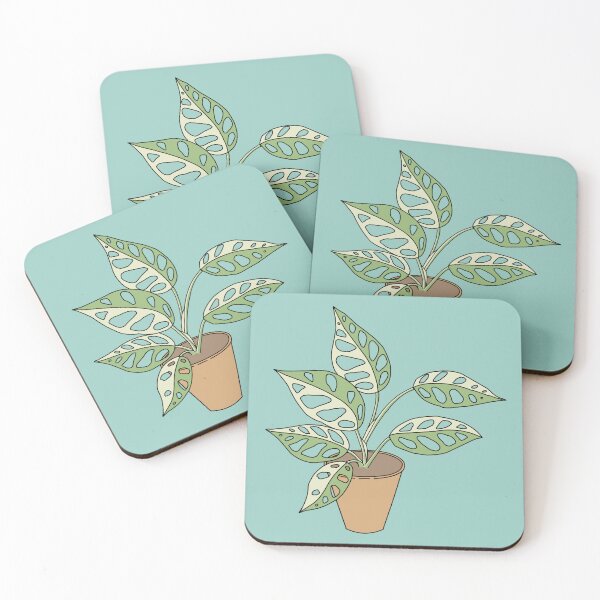 Item preview, Variegated Monstera Adansonii 2 designed and sold by TASORA.