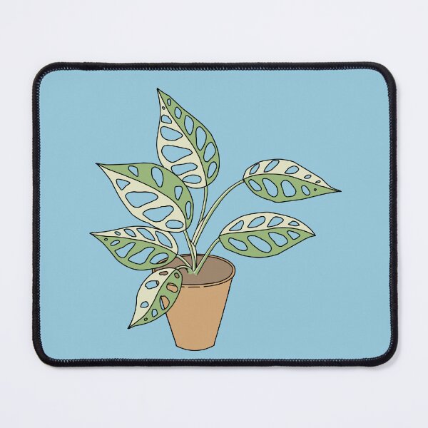 Item preview, Variegated Monstera Adansonii 2 designed and sold by TASORA.