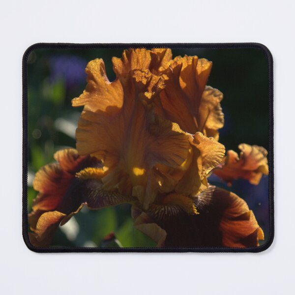 Item preview, Sunset Iris - Glowing Amber And Bronze designed and sold by Georgia Mizuleva.