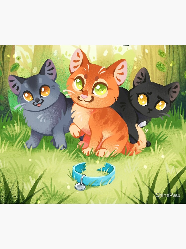 Warrior cats ( Into The Wild )