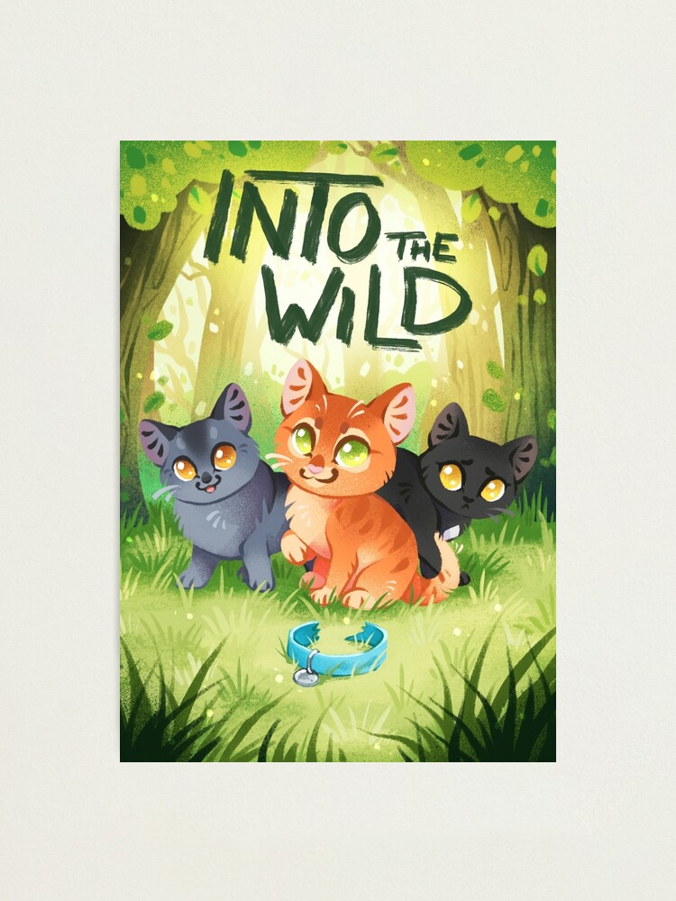 Warrior Cats: Into The Wild – Solstice Book Reviews