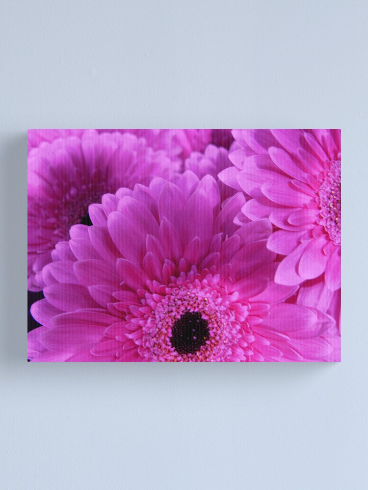 Alternate view of innocence ... Canvas Print