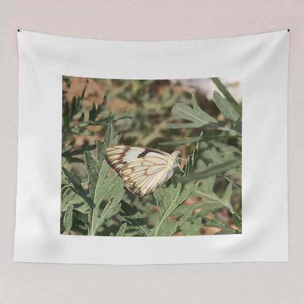 Item preview, photography  designed and sold by khaanju.