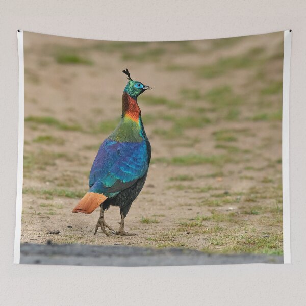 Item preview, Himalayan Monal designed and sold by ritusdesigns.