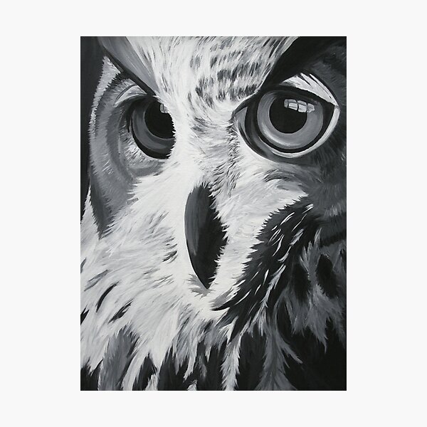 Bird of Prey Photographic Print