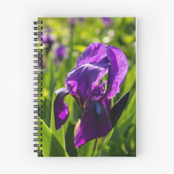 Item preview, Royal Purple Irises in Bloom - A Garden for Vincent Van Gogh designed and sold by Georgia Mizuleva.