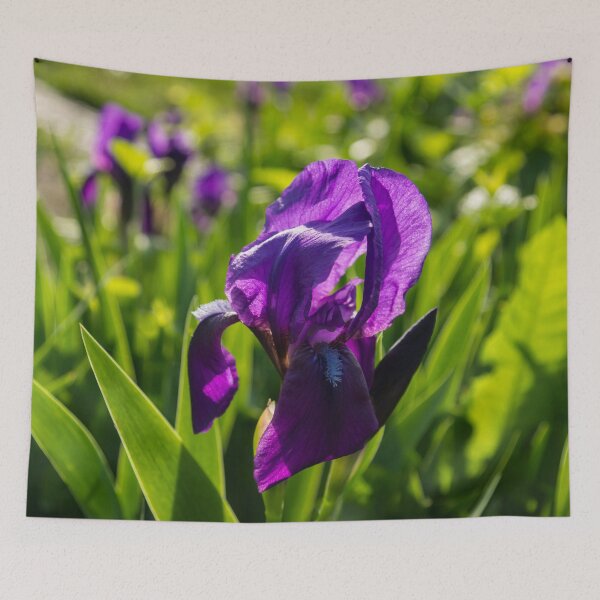 Item preview, Royal Purple Irises in Bloom - A Garden for Vincent Van Gogh designed and sold by Georgia Mizuleva.