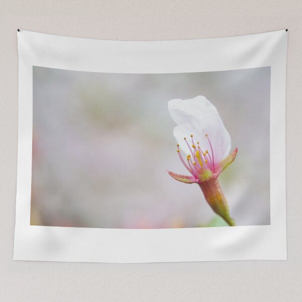 Item preview, Single sakura petal flower designed and sold by elchan.