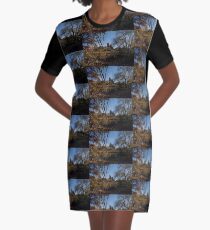 Worcester Cathedral Graphic T-Shirt Dress