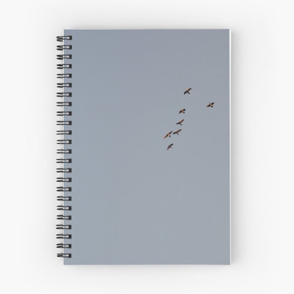 Item preview, Patos que se divierten designed and sold by MoniKitz.