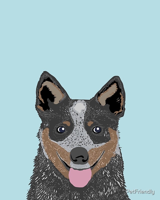 "Kellan Australian Cattle dog gifts and gifts for cattle dog owners