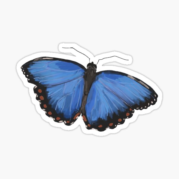 Butterfly  Sticker