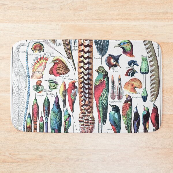 Item preview, vintage feather identification poster designed and sold by cutesy.