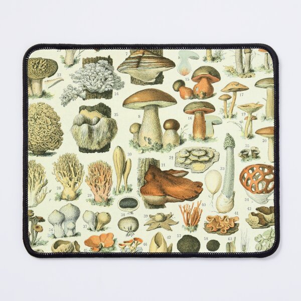 Item preview, Vintage botanical Print - Champignons - Adolphe Millot designed and sold by cutesy.