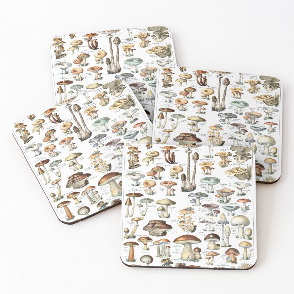 Item preview, Vintage French botanical Illustration - Champignons - Adolphe Millot designed and sold by cutesy.
