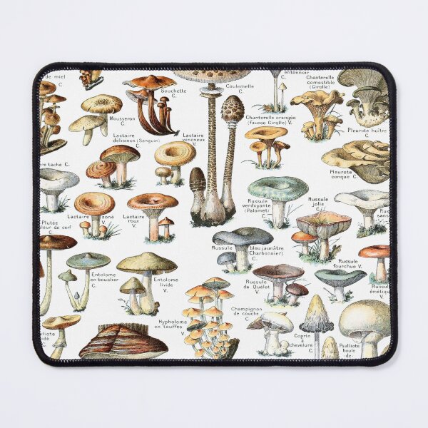 Item preview, Vintage French botanical Illustration - Champignons - Adolphe Millot designed and sold by cutesy.