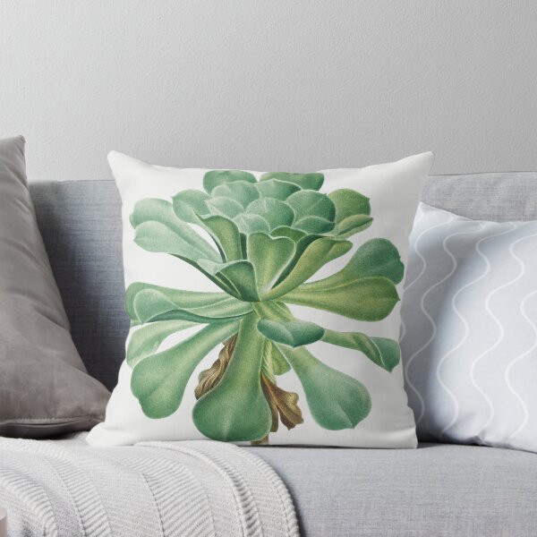 Item preview, Sempervivum Canariense (1759–1840) Vintage Hand Drawn Flower Sketch (Botanical drawing) designed and sold by UsedToBeStatue.