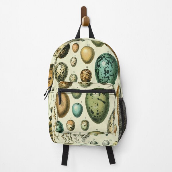 Item preview, Vintage bird egg identification poster designed and sold by cutesy.