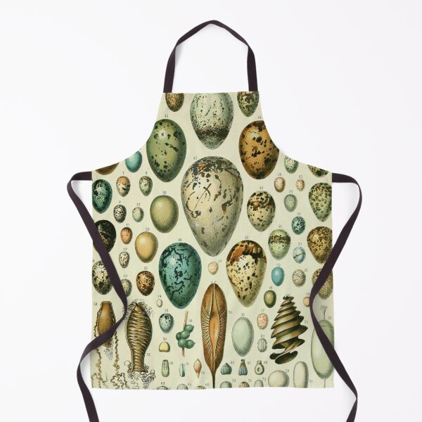 Item preview, Vintage bird egg identification poster designed and sold by cutesy.
