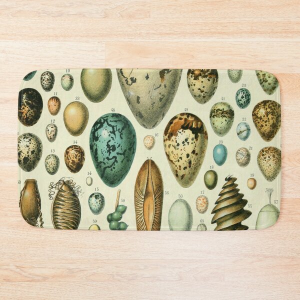 Item preview, Vintage bird egg identification poster designed and sold by cutesy.