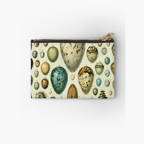 Item preview, Vintage bird egg identification poster designed and sold by cutesy.