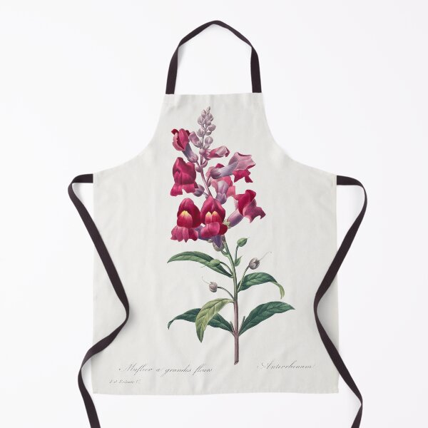 Item preview, Anterinum (1759–1840) Vintage Hand Drawn Flower Sketch (Botanical drawing) designed and sold by UsedToBeStatue.