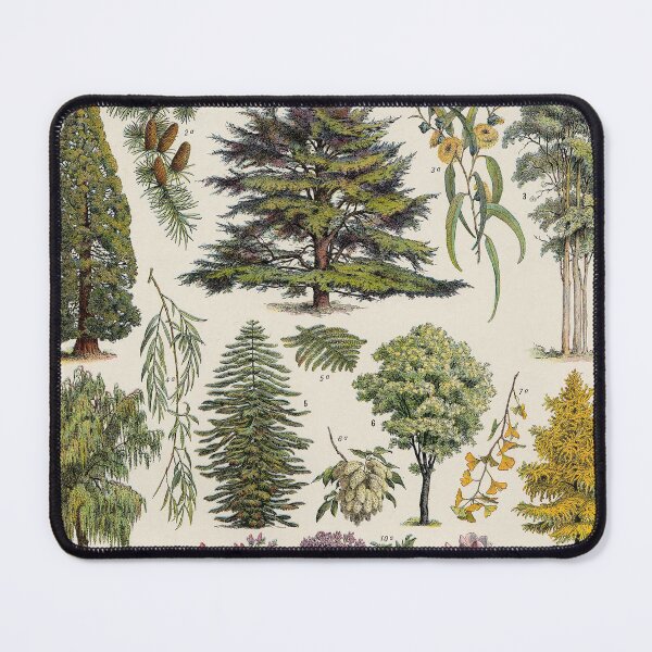 Item preview, Vintage Wildlife Identification Poster Birds Animals Nature Wild Flowers Trees designed and sold by cutesy.