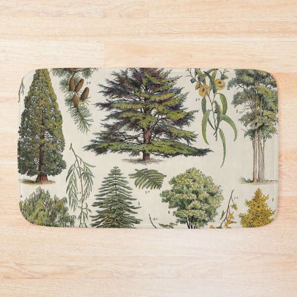 Item preview, Vintage Wildlife Identification Poster Birds Animals Nature Wild Flowers Trees designed and sold by cutesy.