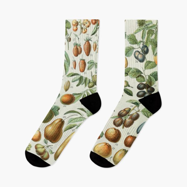 Item preview, Vintage botanical Print - Fruits - Adolphe Millot designed and sold by cutesy.
