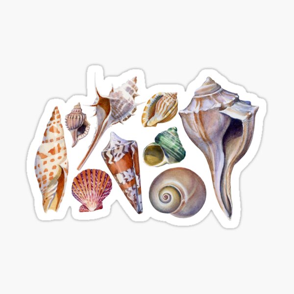 Gifts from the Sea Sticker