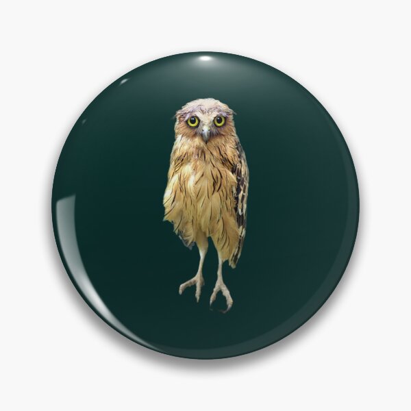 Item preview, wet owl                                   designed and sold by SwazzDdraws.