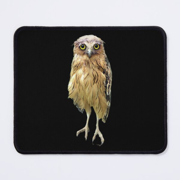 Item preview, wet owl                                   designed and sold by SwazzDdraws.