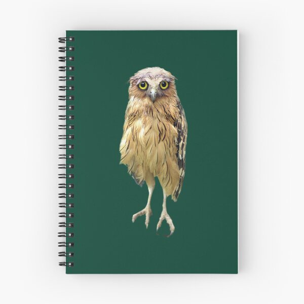 Item preview, wet owl                                   designed and sold by SwazzDdraws.