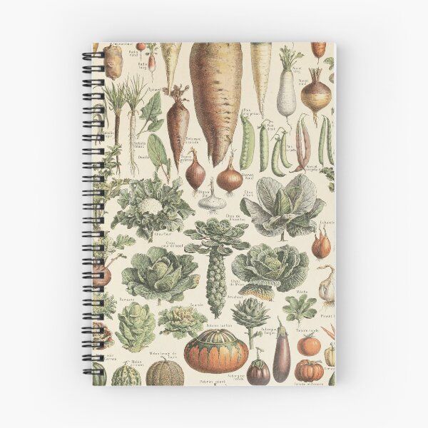 Item preview, Vintage botanical Print - Legumes - Adolphe Millot designed and sold by cutesy.