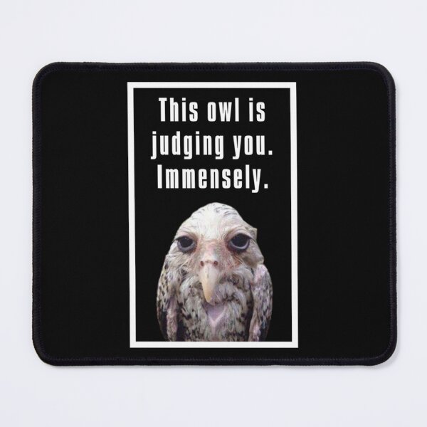 Item preview, Wet Owl Meme                designed and sold by SwazzDdraws.