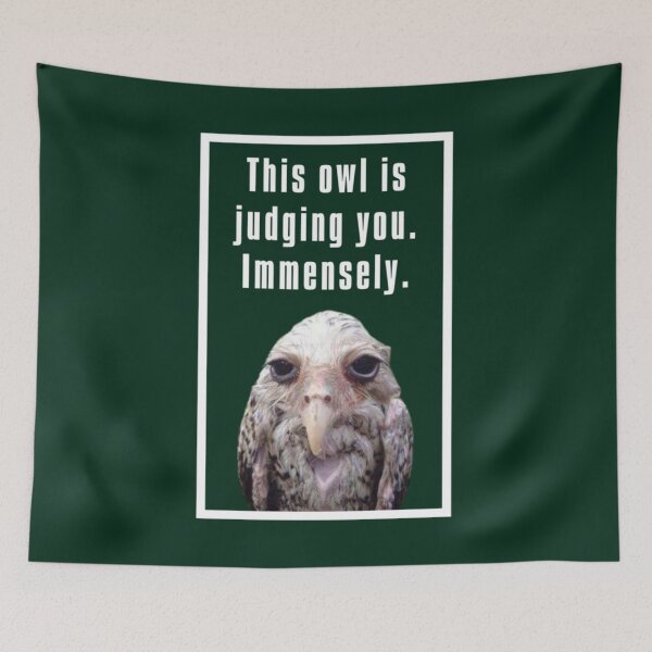 Item preview, Wet Owl Meme                designed and sold by SwazzDdraws.