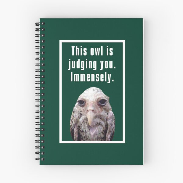 Item preview, Wet Owl Meme                designed and sold by SwazzDdraws.