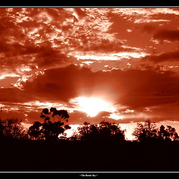 Artwork thumbnail, The Rustic Sky by David Grubb