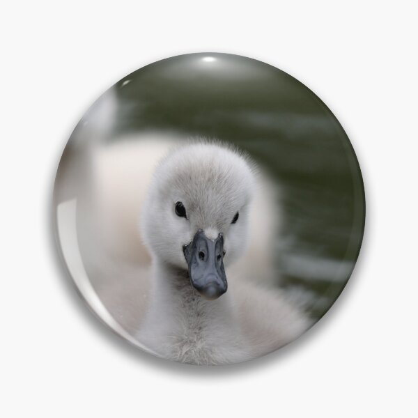 Item preview, 'Ducklings' designed and sold by MARYMAXMAC.