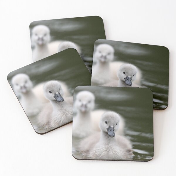 Item preview, 'Ducklings' designed and sold by MARYMAXMAC.