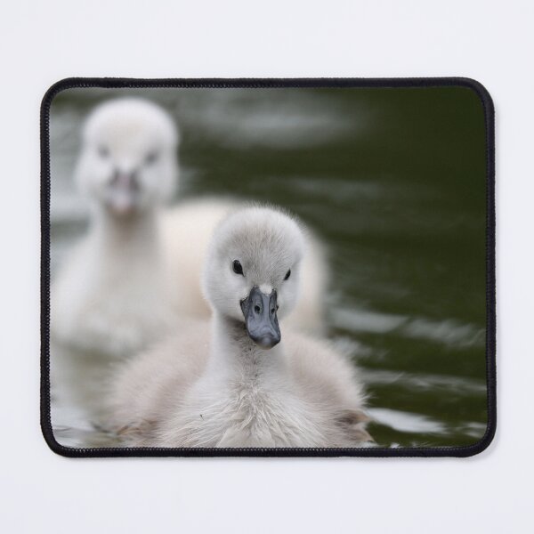 Item preview, 'Ducklings' designed and sold by MARYMAXMAC.