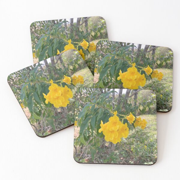 Item preview, Yellow Tecoma designed and sold by Capture  Room.