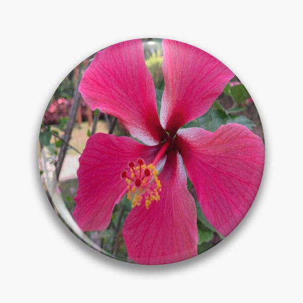 Item preview, Chinese Hibiscus designed and sold by Capture  Room.