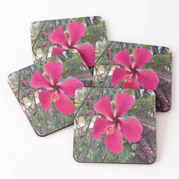 Item preview, Chinese Hibiscus designed and sold by Capture  Room.