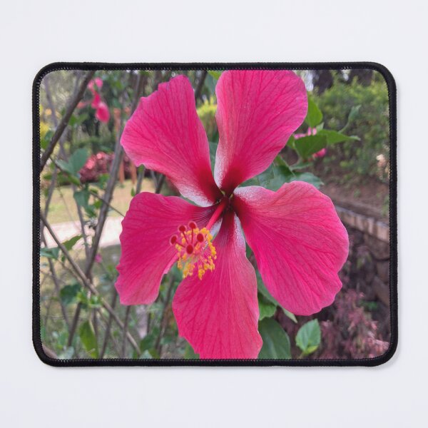 Item preview, Chinese Hibiscus designed and sold by Capture Room.