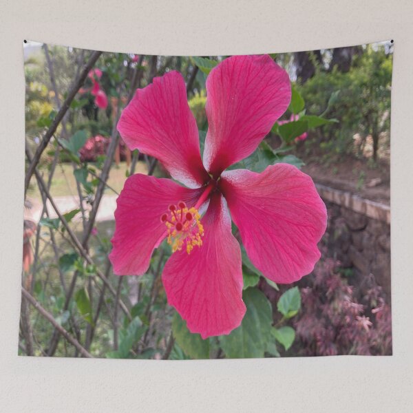 Item preview, Chinese Hibiscus designed and sold by Capture  Room.
