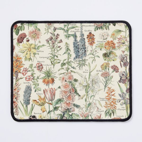 Item preview, Vintage botanical Print - wildflower - Adolphe Millot designed and sold by cutesy.