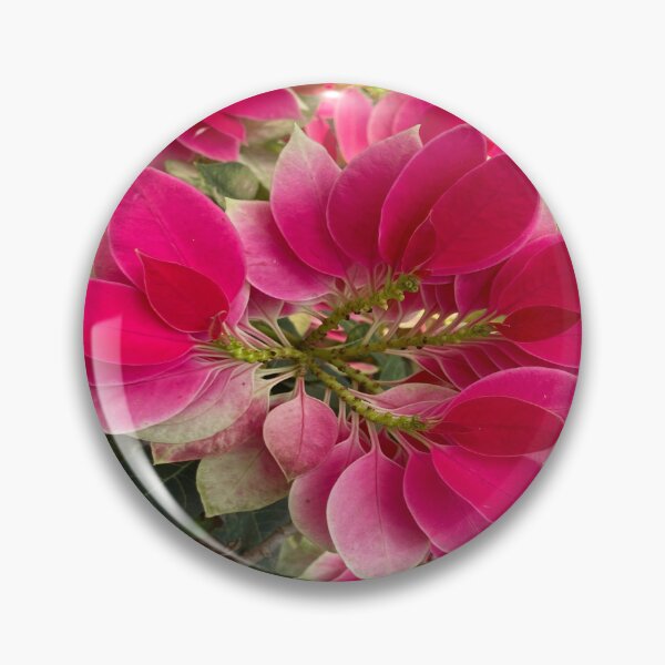 Item preview, Poinsettia Flower Plant designed and sold by Capture  Room.